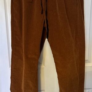 EMMA & GAIA Gold Cord Velvet PANTALONE Joggerin VELLUTO EUC Euro size 46 M EUC